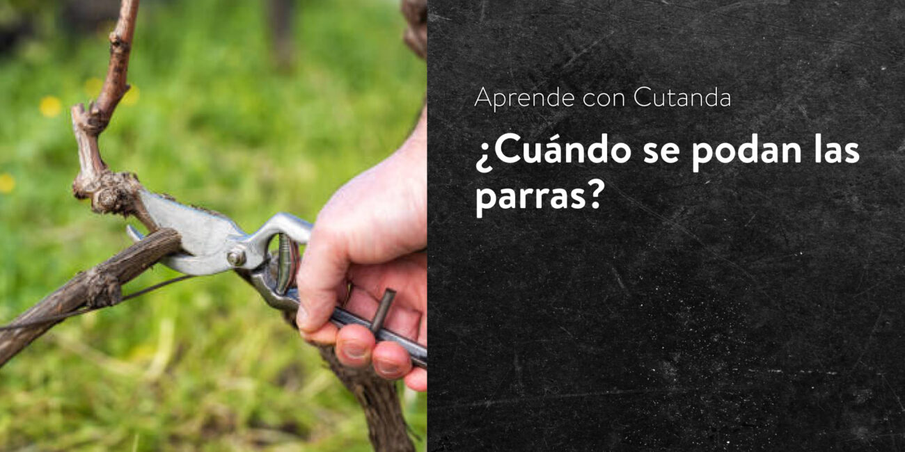 Aprende Con Cutanda Blog Vinos Cutanda