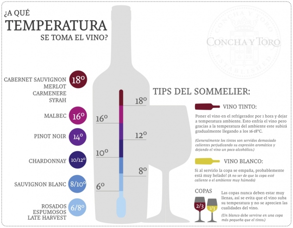 Mantén el vino a buena temperatura: tipos de enfriadores