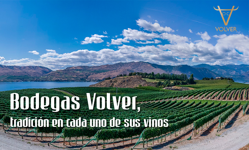 Bodegas Volver, tradición en cada uno de sus vinos > Blog Vinos Cutanda